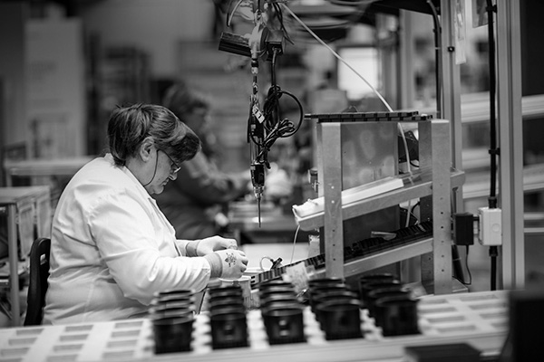 Professions and career paths  