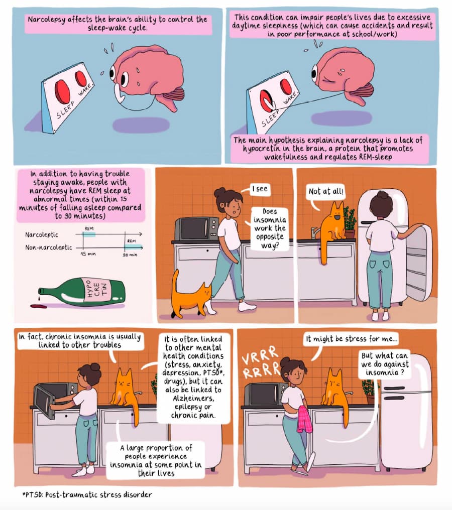 Narcolepsy and insomnia