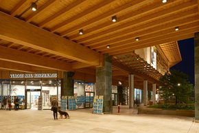 IPRO-155-CEILING_INSPIRATION_ORG_540579__4B09488