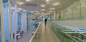 Marsan media library