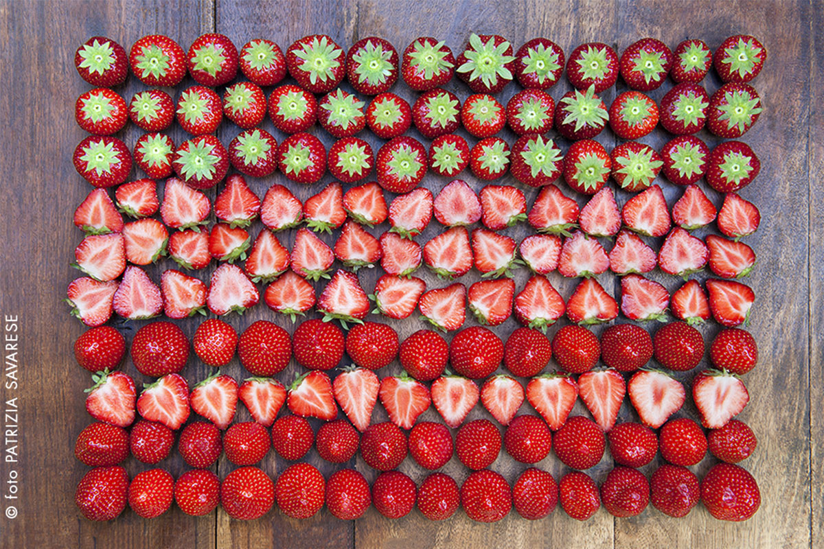 “Chasing sunlight is an adventure”