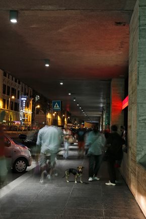 IPRO-155-CEILING_INSPIRATION_ORG_575291__D3C2282E1_1