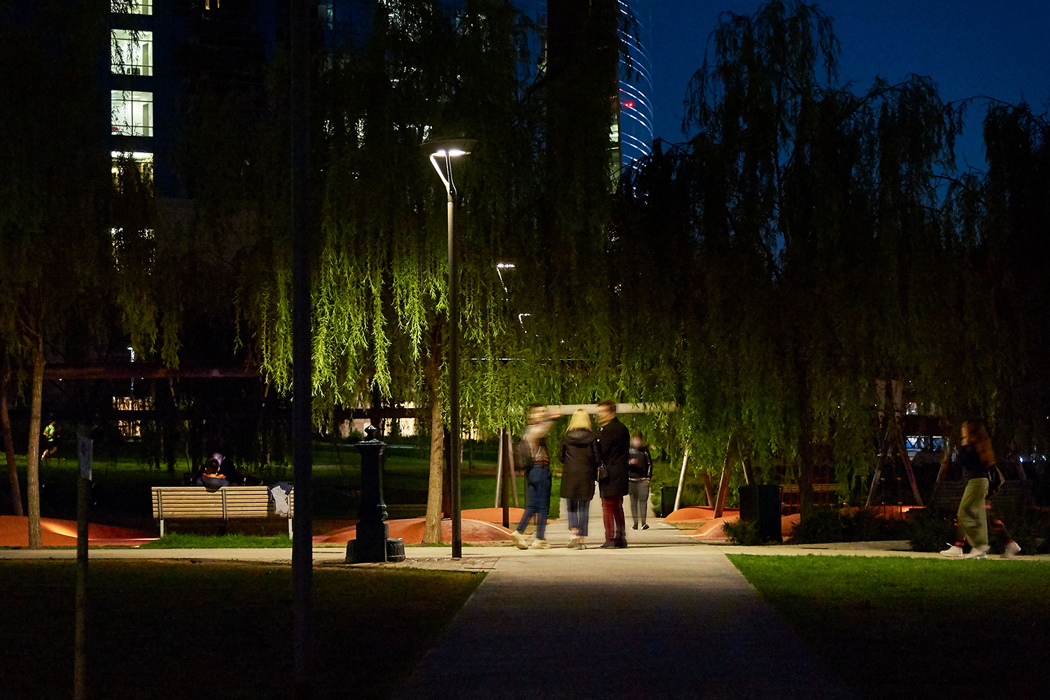 04_BIBLIOTECA_DEGLI-ALBERI