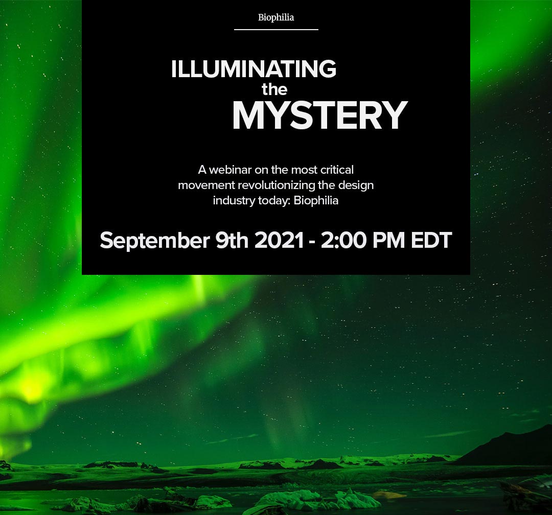 Illuminating the Mystery: a webinar on Biophilia