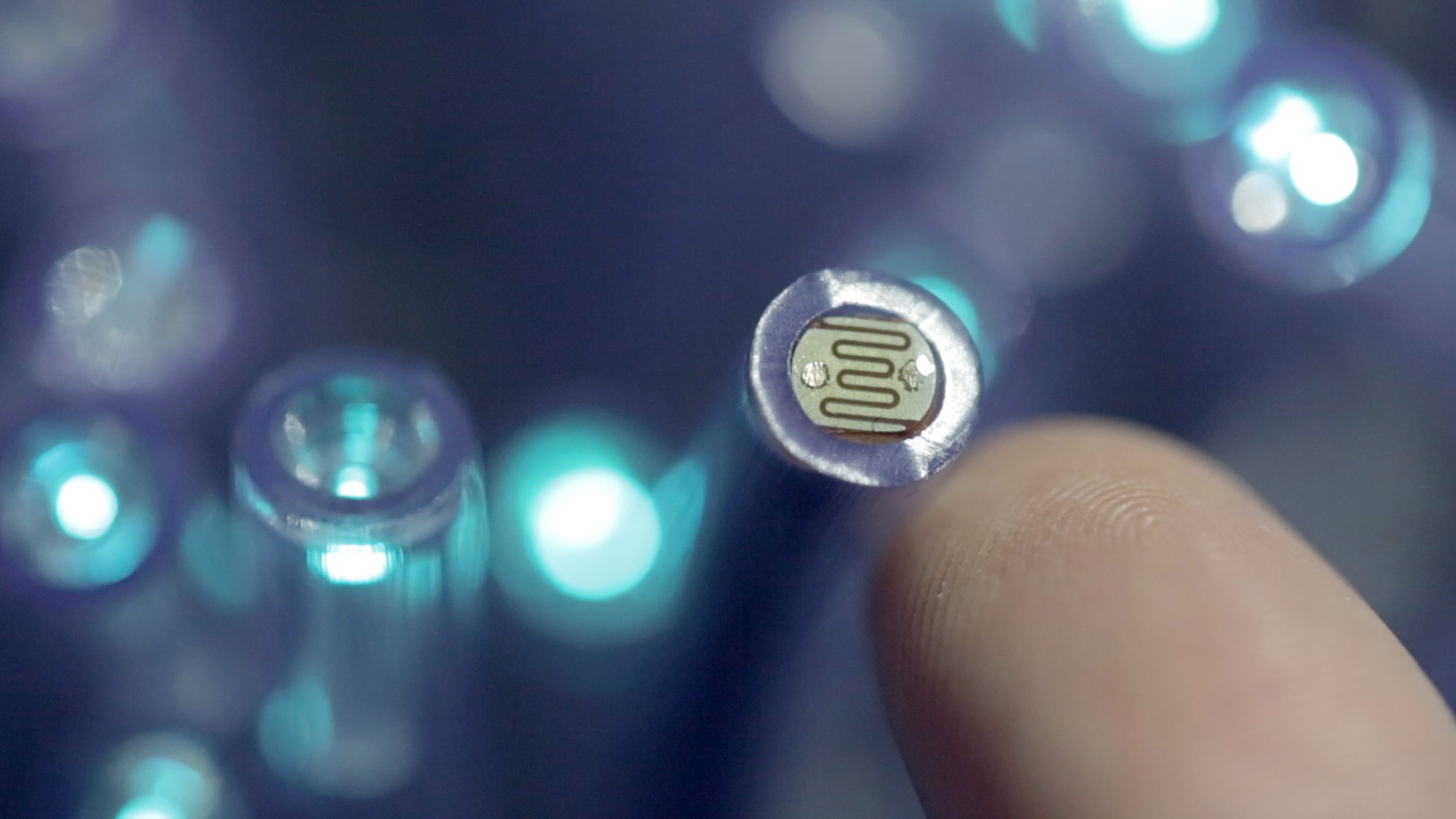 Light Pollination Competition Winner