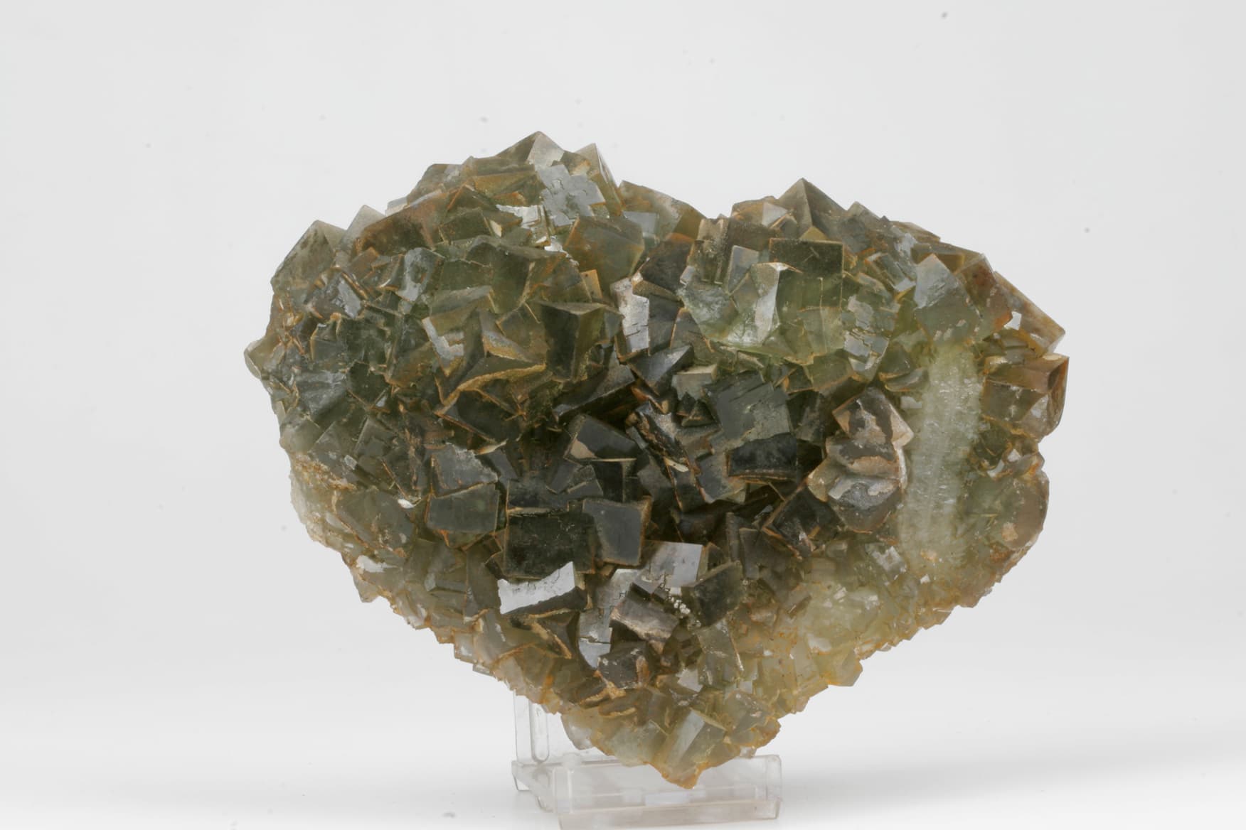 Heart of Vignola, © MUSE