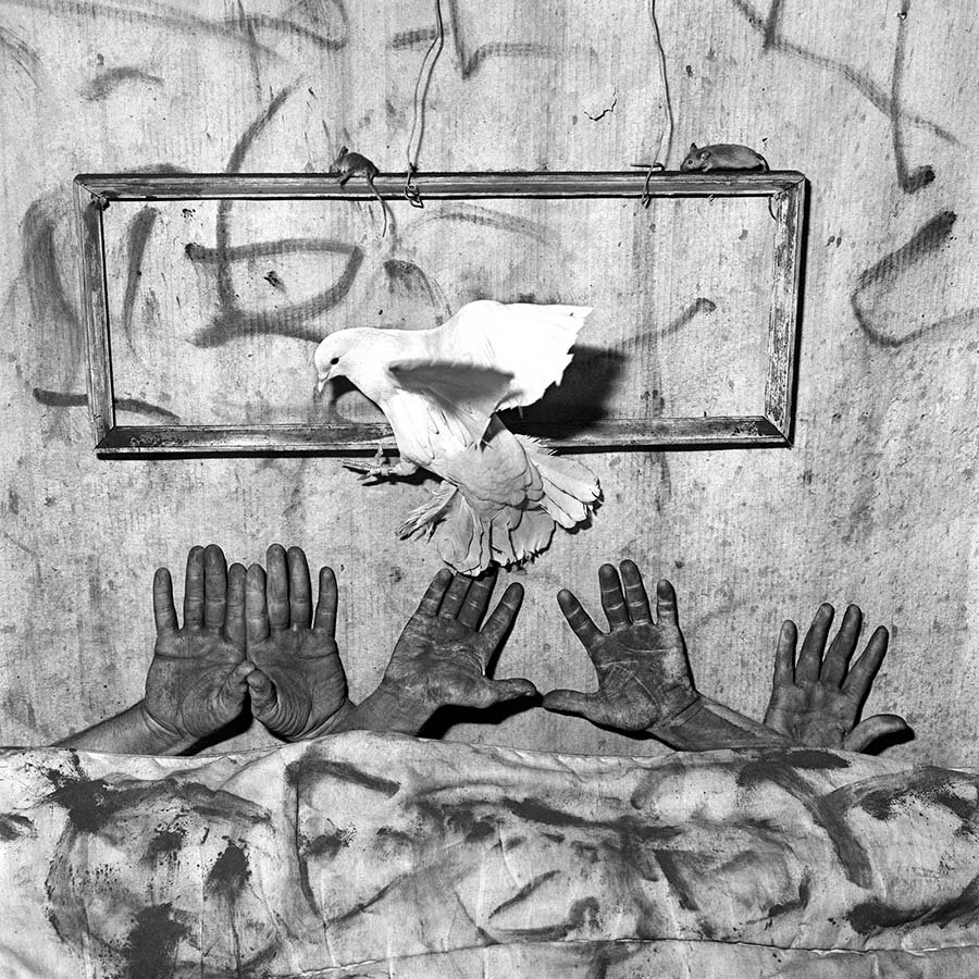 Psychological photography - An interview with the artist, Roger Ballen
