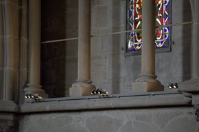 IPRO-51-STAFFA_INSPIRATION_SAINT-PIERRE-CATHEDRAL_ORG_688060__LWA0306