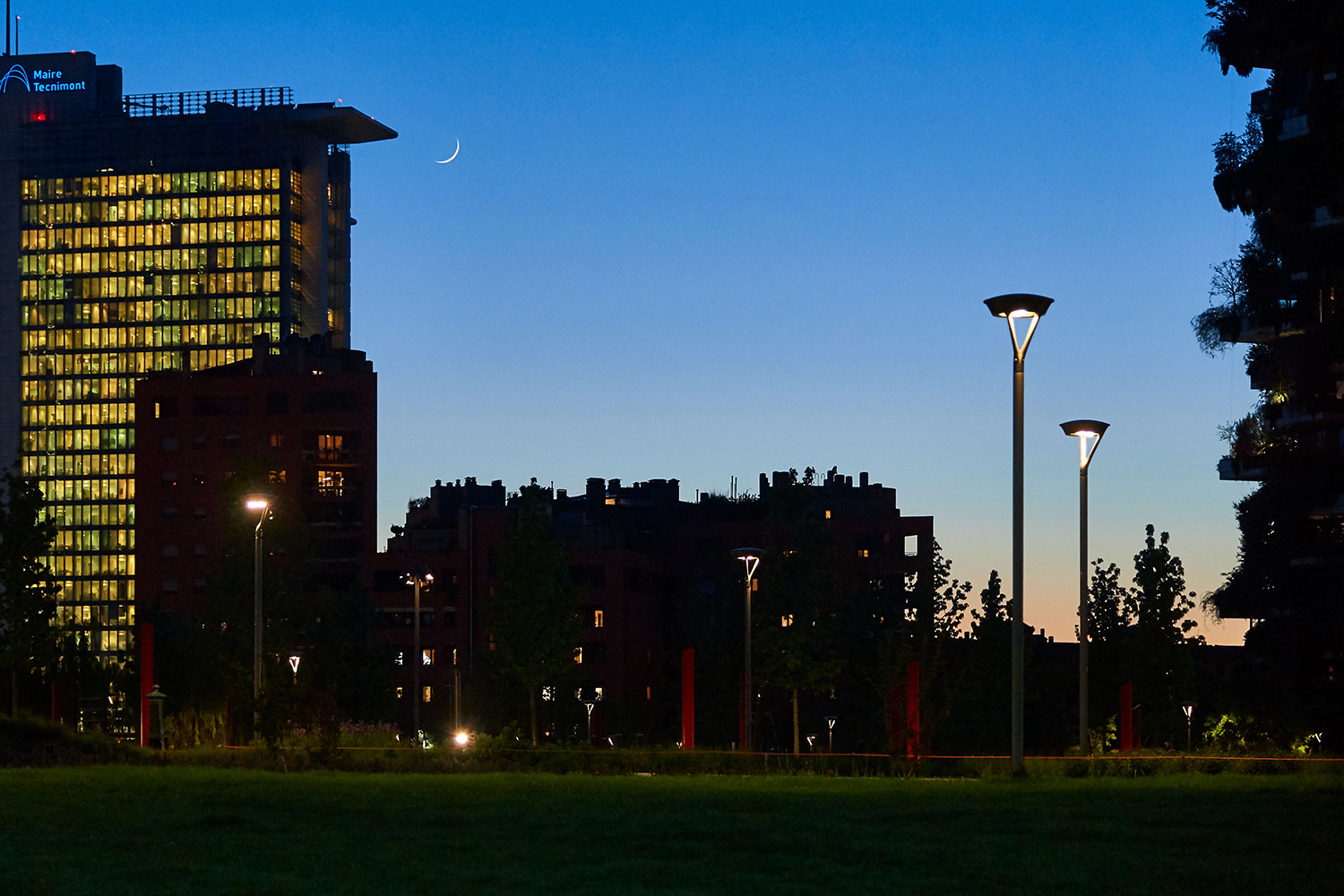 06_BIBLIOTECA_DEGLI-ALBERI