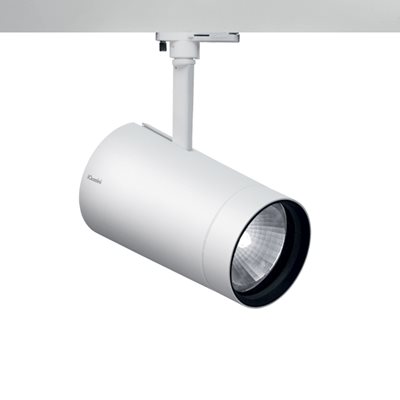 Palco spotlight large