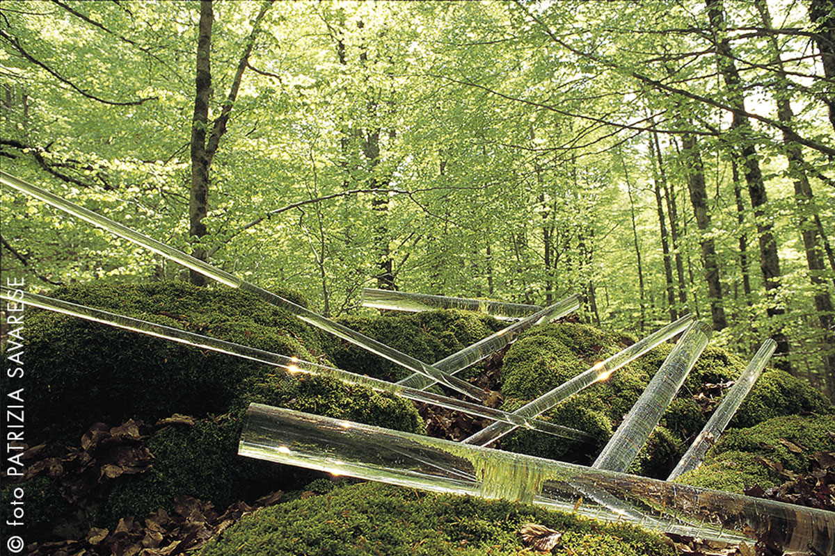 “Chasing sunlight is an adventure”