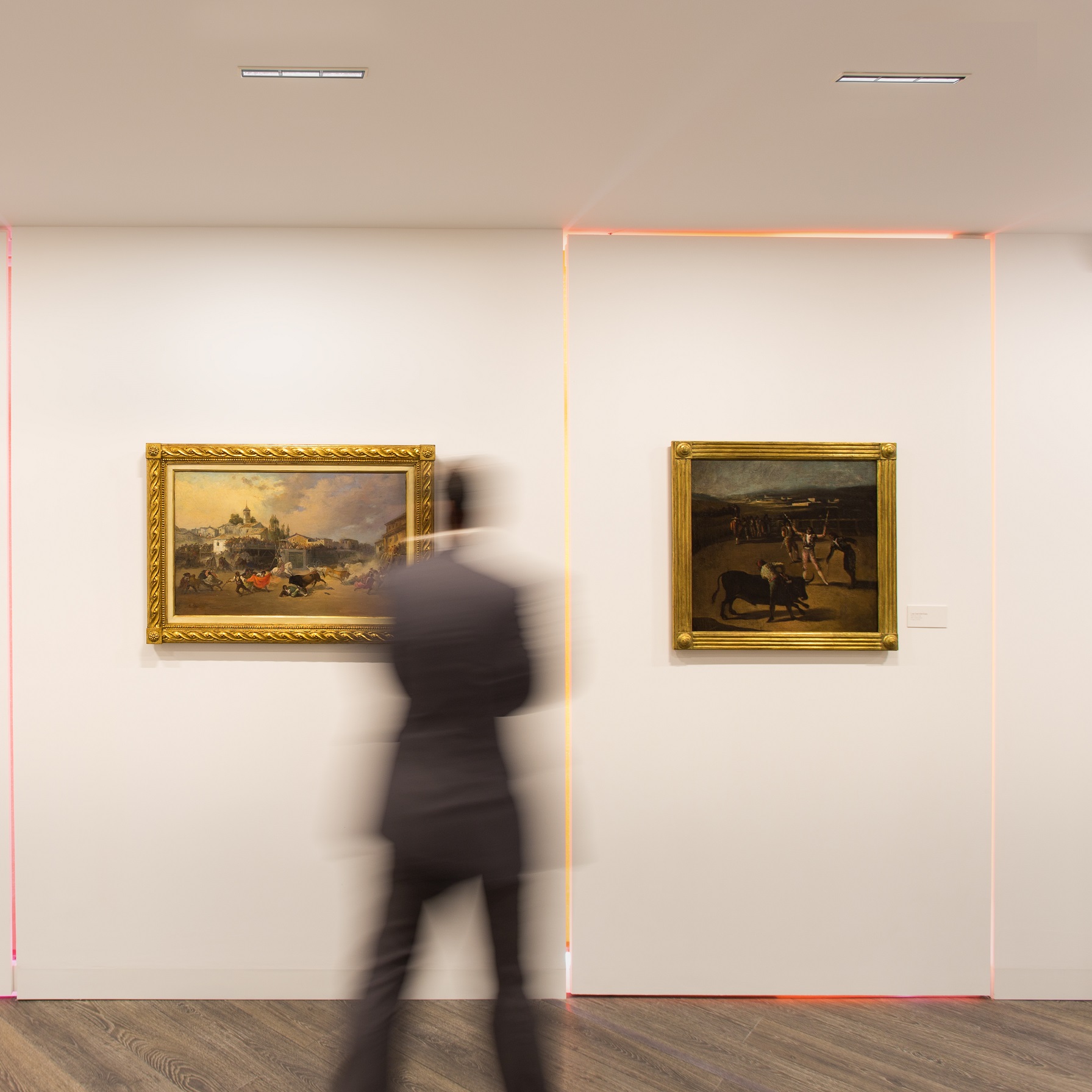 Laser Blade XS Wall Washer